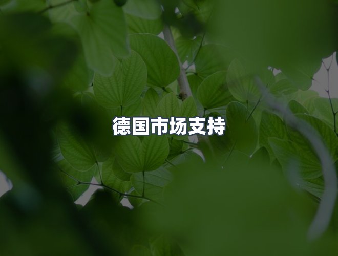 服务优势